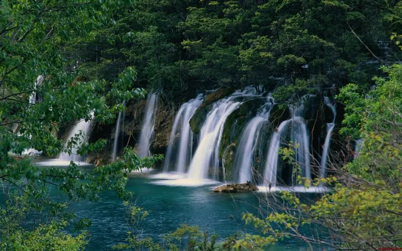 智慧自动化创新